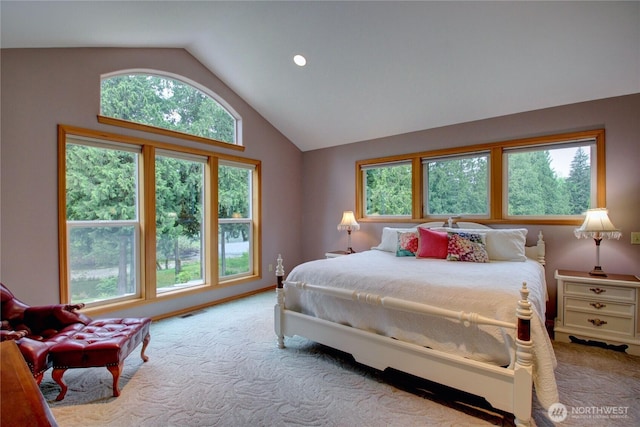 37938 Theo Ln, Concrete, WA 98237 - carpeted bedroom with vaulted ceiling, multiple windows, and recessed lighting