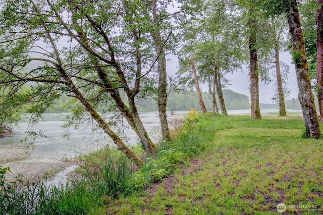 37938 Theo Ln, Concrete, WA 98237 - view of yard with a water view