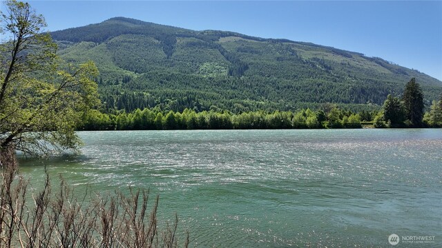 37938 Theo Ln, Concrete, WA 98237 - photo 38