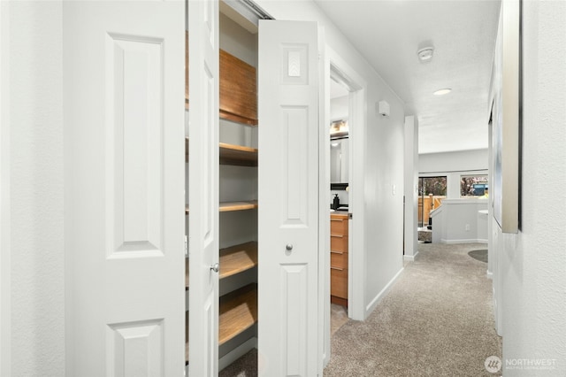 12044 96th Ave NE Unit 211, Kirkland, WA 98034 - hall with carpet floors and baseboards