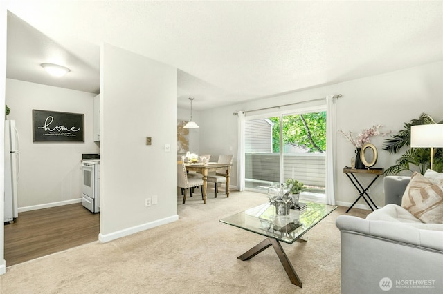 12513 NE 130th Way Unit C204, Kirkland, WA 98034 - living room featuring baseboards and light carpet