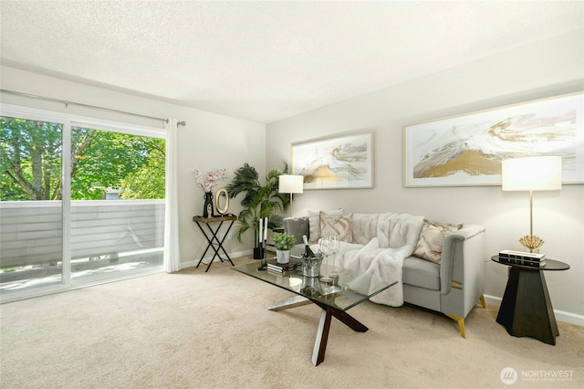 12513 NE 130th Way Unit C204, Kirkland, WA 98034 - living area with carpet and baseboards