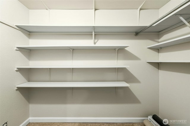12513 NE 130th Way Unit C204, Kirkland, WA 98034 - view of spacious closet