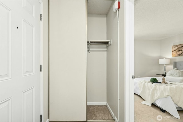 12513 NE 130th Way Unit C204, Kirkland, WA 98034 - view of closet