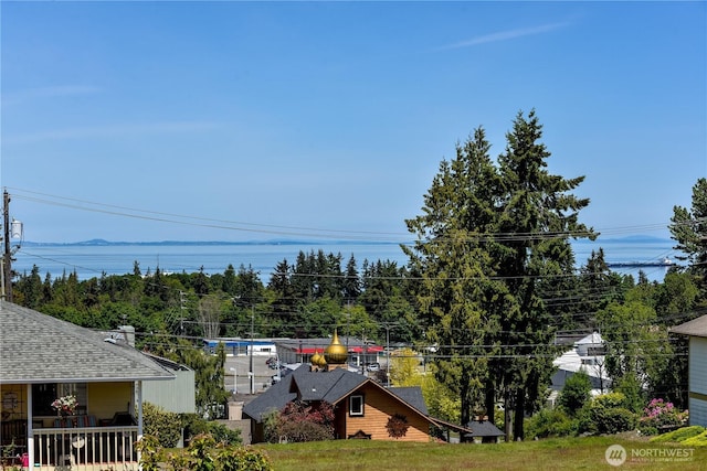 1815 E 4th St, Port Angeles, WA 98362 - view of yard