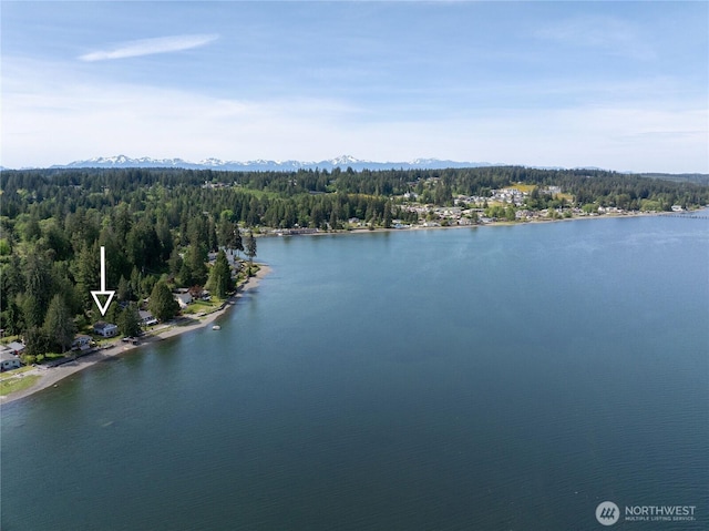 7610 E Grapeview Loop Rd, Allyn, WA 98524 - water view with a mountain backdrop and a heavily wooded area
