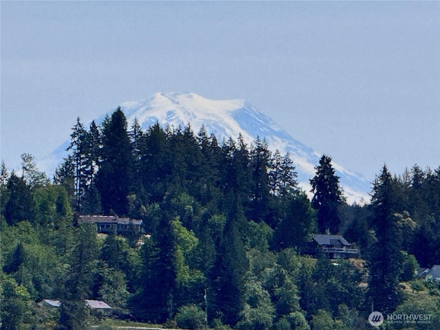 7610 E Grapeview Loop Rd, Allyn, WA 98524 - view of mountain background featuring a forest