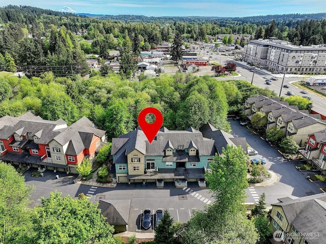 aerial perspective of suburban area with a forest