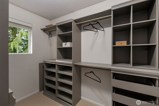 spacious closet with carpet flooring