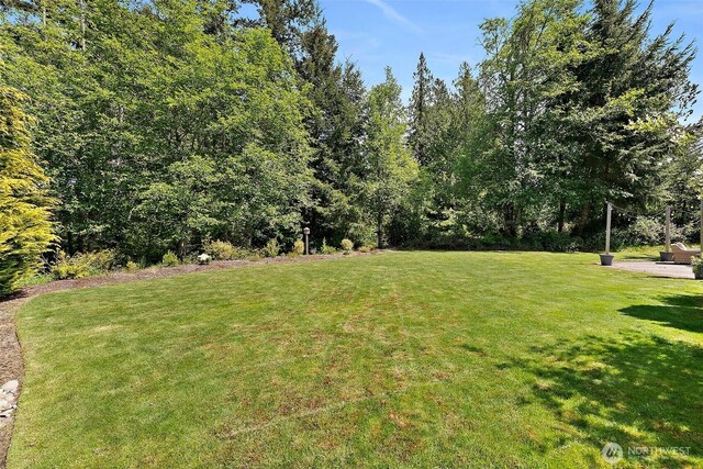 view of grassy yard
