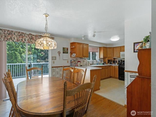 17417 29th Dr SE, Bothell, WA 98012 - dining room with light wood-type flooring and a textured ceiling