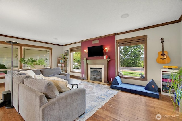 45 N Welcome Slough Rd, Cathlamet, WA 98612 - living room featuring plenty of natural light, hardwood / wood-style floors, ornamental molding, and a fireplace with flush hearth