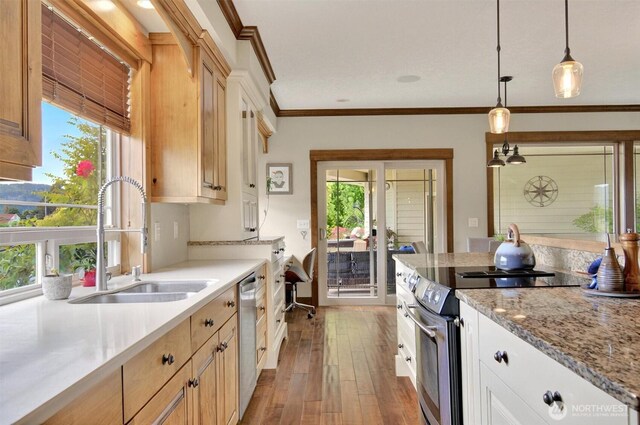 45 N Welcome Slough Rd, Cathlamet, WA 98612 - kitchen featuring appliances with stainless steel finishes, a sink, ornamental molding, pendant lighting, and hardwood / wood-style floors