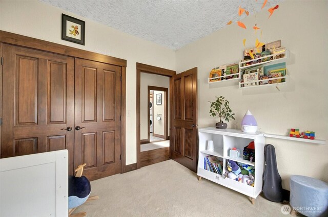 45 N Welcome Slough Rd, Cathlamet, WA 98612 - rec room featuring light carpet and a textured ceiling