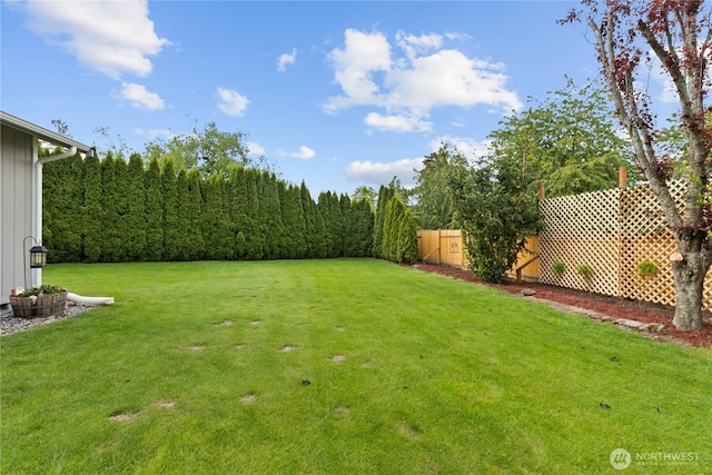 2313 N 19th Pl, Mount Vernon, WA 98273 - view of yard