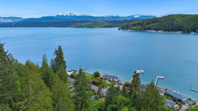 8310 E State Route 106, Union, WA 98592 - water view with mountains and a forest