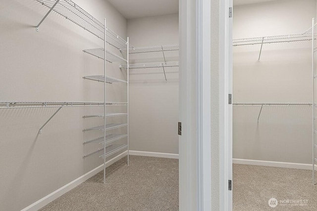 1803 135th Street Ct S, Tacoma, WA 98444 - walk in closet with carpet floors
