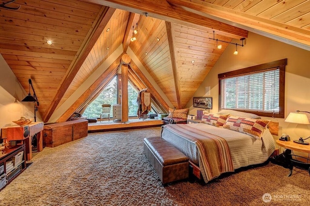 20 Skull Springs Rd, Cle Elum, WA 98922 - bedroom with wood ceiling, carpet floors, and rail lighting