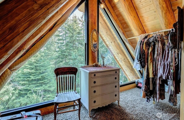 20 Skull Springs Rd, Cle Elum, WA 98922 - view of unfinished attic