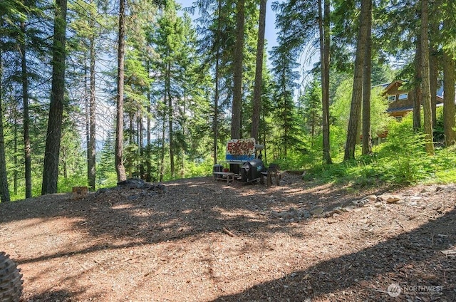20 Skull Springs Rd, Cle Elum, WA 98922 - view of yard