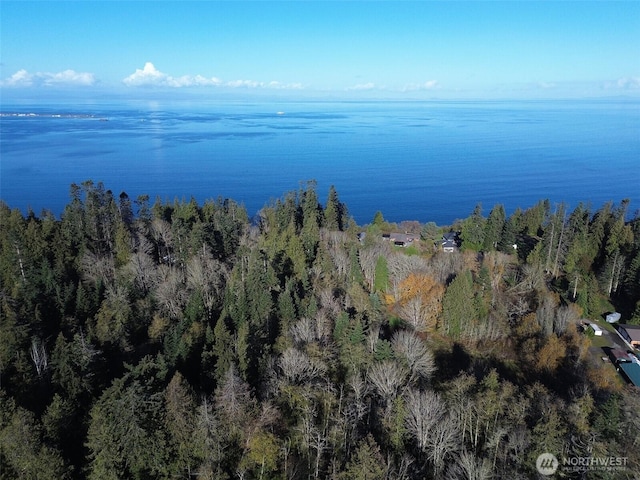 9999 E Greentree Ln, Port Angeles, WA 98362 - photo 1