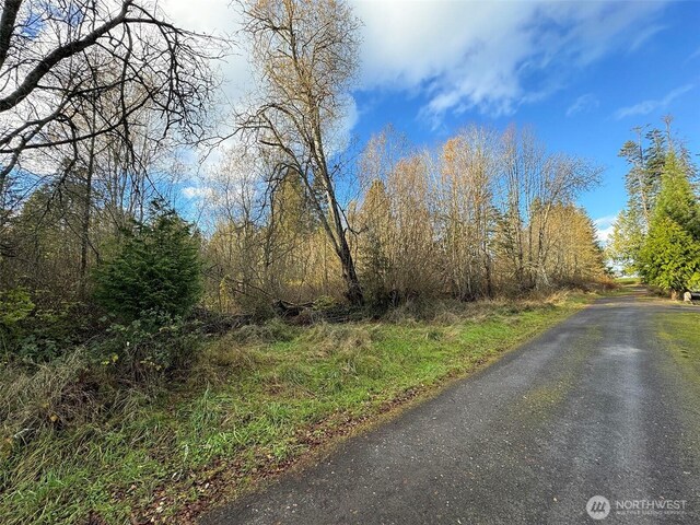 9999 E Greentree Ln, Port Angeles, WA 98362 - photo 3