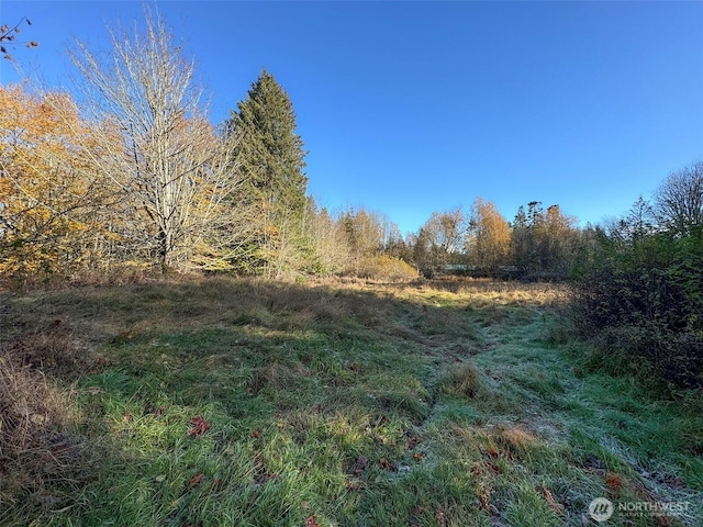 9999 E Greentree Ln, Port Angeles, WA 98362 - photo 5
