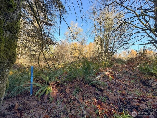 9999 E Greentree Ln, Port Angeles, WA 98362 - photo 7