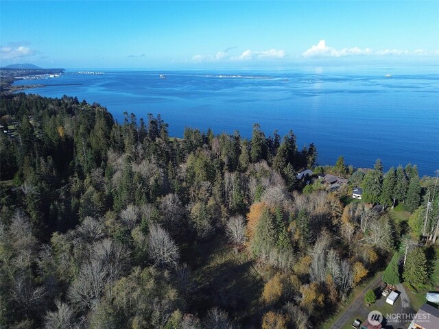 9999 E Greentree Ln, Port Angeles, WA 98362 - photo 8