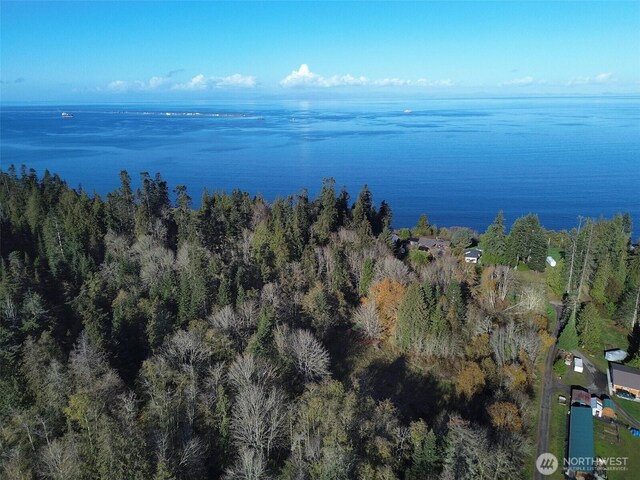 9999 E Greentree Ln, Port Angeles, WA 98362 - photo 9