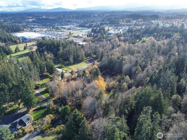 9999 E Greentree Ln, Port Angeles, WA 98362 - photo 10
