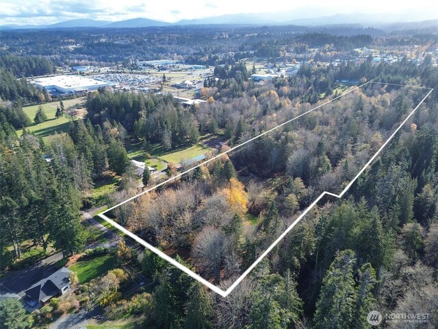9999 E Greentree Ln, Port Angeles, WA 98362 - photo 11