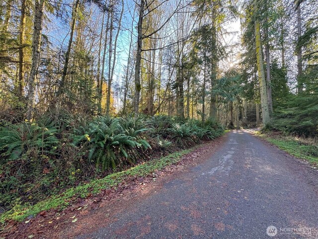 9999 E Greentree Ln, Port Angeles, WA 98362 - photo 12