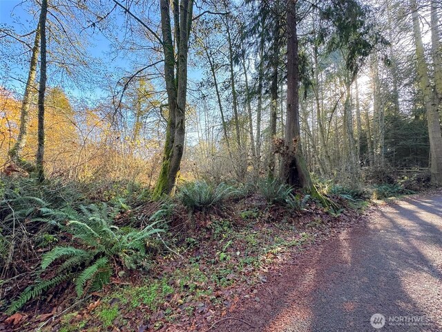 9999 E Greentree Ln, Port Angeles, WA 98362 - photo 13