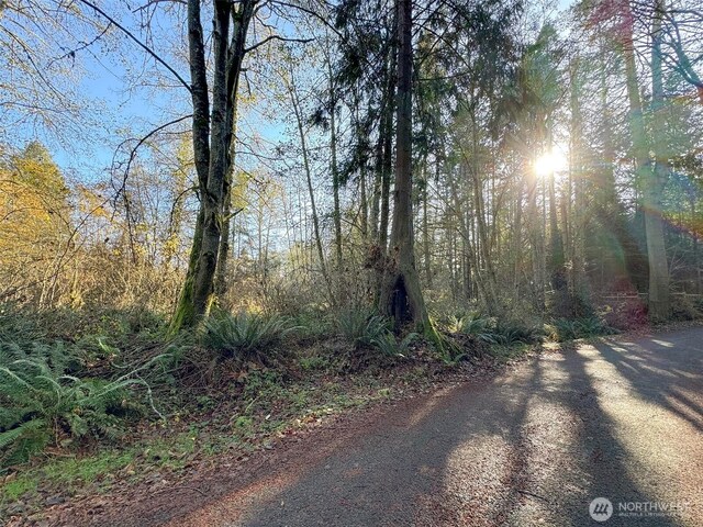 9999 E Greentree Ln, Port Angeles, WA 98362 - photo 14