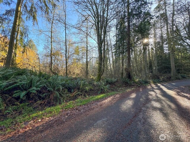 9999 E Greentree Ln, Port Angeles, WA 98362 - photo 15