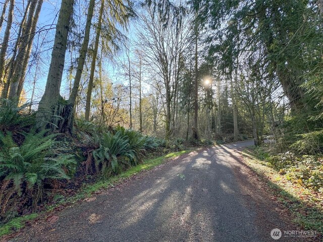 9999 E Greentree Ln, Port Angeles, WA 98362 - photo 16