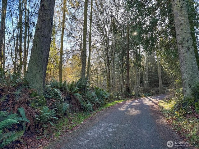 9999 E Greentree Ln, Port Angeles, WA 98362 - photo 17