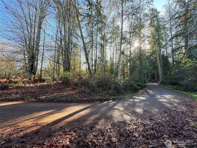 9999 E Greentree Ln, Port Angeles, WA 98362 - photo 18