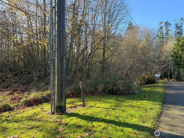 9999 E Greentree Ln, Port Angeles, WA 98362 - photo 20