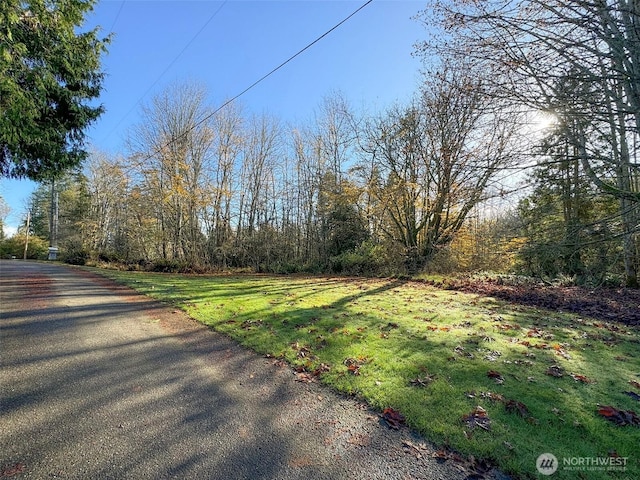 9999 E Greentree Ln, Port Angeles, WA 98362 - photo 24