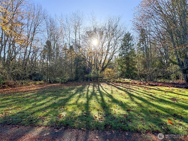 9999 E Greentree Ln, Port Angeles, WA 98362 - photo 25