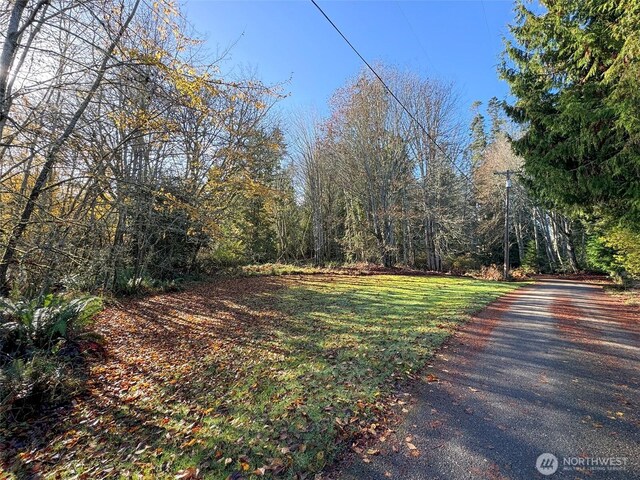 9999 E Greentree Ln, Port Angeles, WA 98362 - photo 26