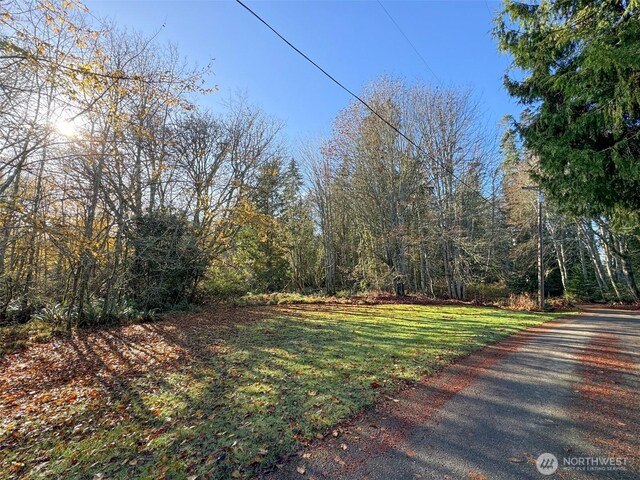 9999 E Greentree Ln, Port Angeles, WA 98362 - photo 27