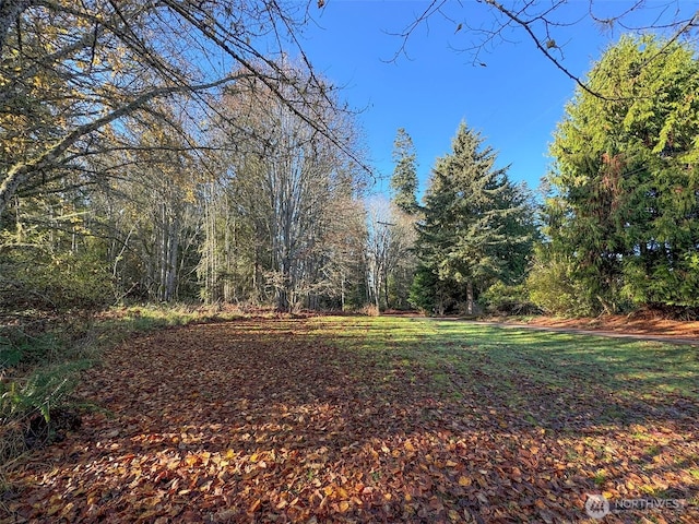 9999 E Greentree Ln, Port Angeles, WA 98362 - photo 28