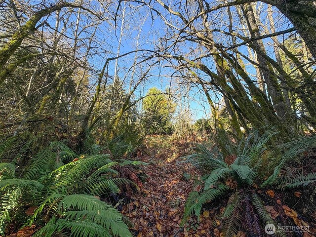 9999 E Greentree Ln, Port Angeles, WA 98362 - photo 29
