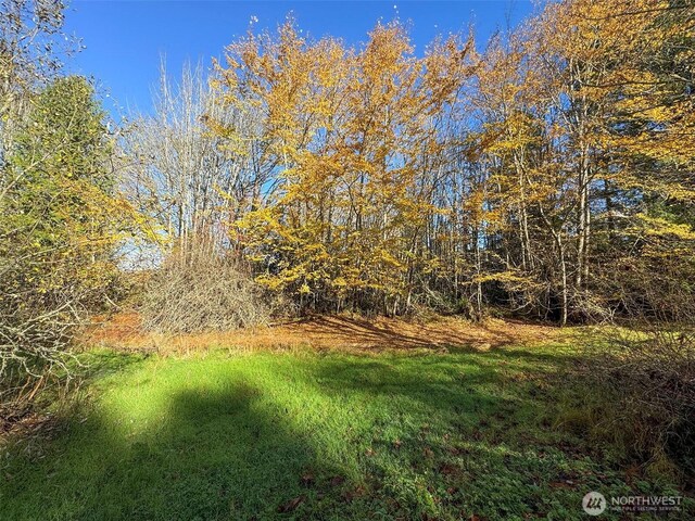 9999 E Greentree Ln, Port Angeles, WA 98362 - photo 31