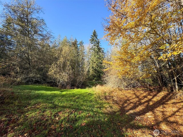 9999 E Greentree Ln, Port Angeles, WA 98362 - photo 32