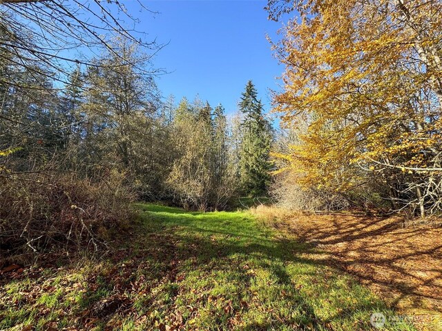 9999 E Greentree Ln, Port Angeles, WA 98362 - photo 33