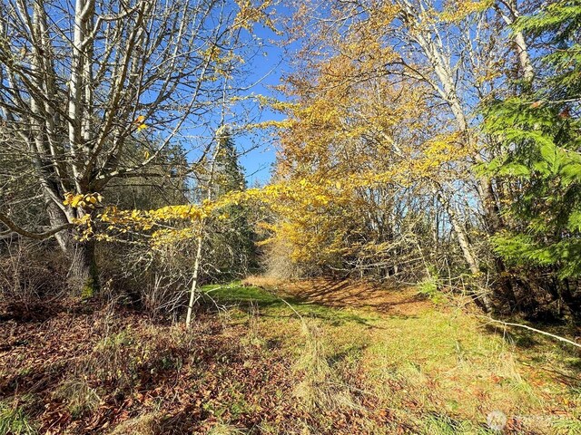 9999 E Greentree Ln, Port Angeles, WA 98362 - photo 34
